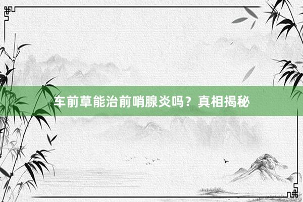 车前草能治前哨腺炎吗？真相揭秘