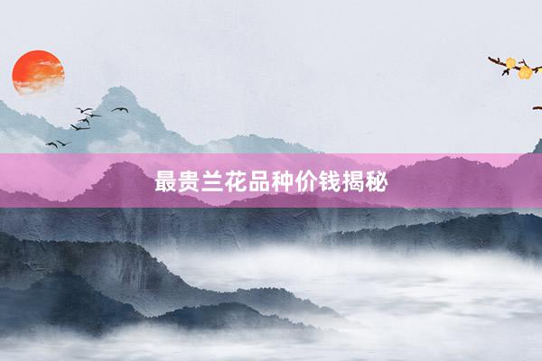 最贵兰花品种价钱揭秘