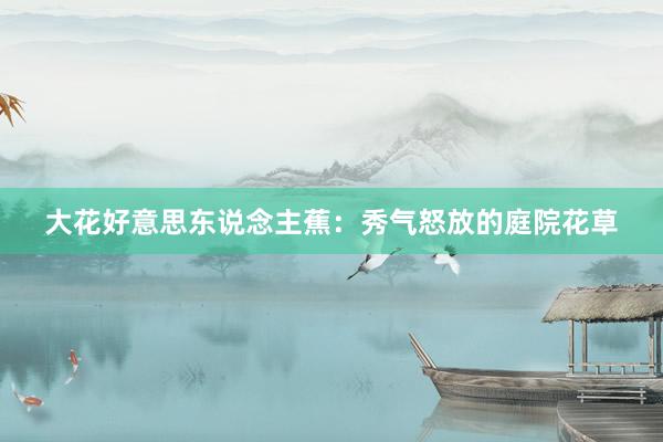 大花好意思东说念主蕉：秀气怒放的庭院花草