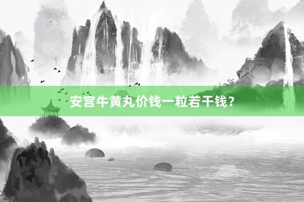 安宫牛黄丸价钱一粒若干钱?