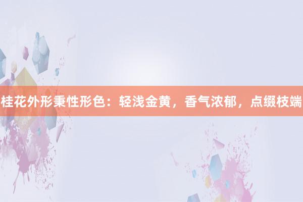桂花外形秉性形色：轻浅金黄，香气浓郁，点缀枝端