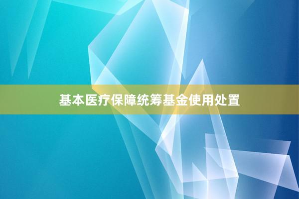 基本医疗保障统筹基金使用处置