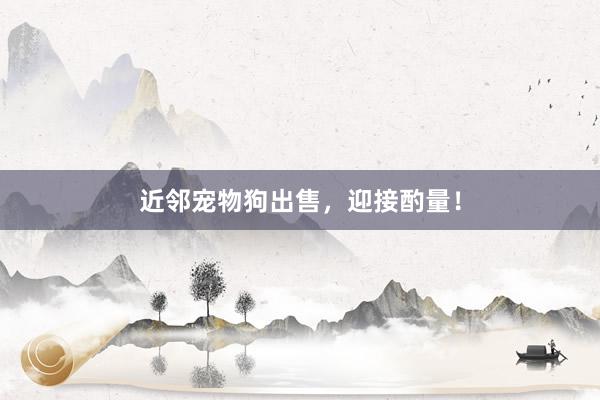 近邻宠物狗出售,迎接酌量!