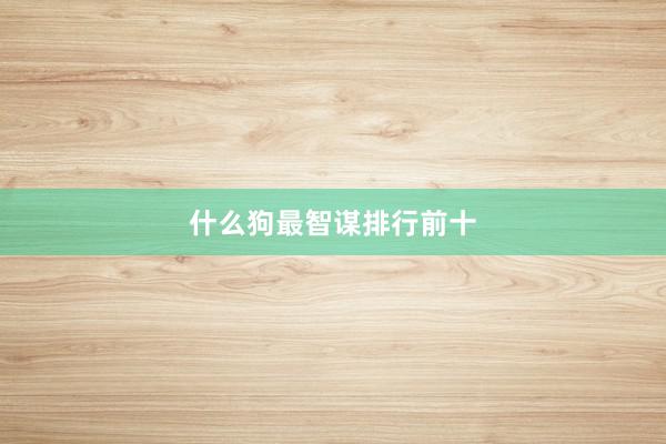 什么狗最智谋排行前十